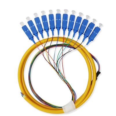 Mua 12 Core Single Mode SC Fiber Pigtail Cable for Networks Communication System Flexible sản xuất trực tuyến
