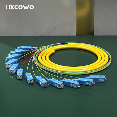 Mua 12 Core SC UPC APC LC FC ST E2000 SM MM OM2 OM3 OM4 Fiber Optic Pigtail Ribbon Patch Cord sản xuất trực tuyến