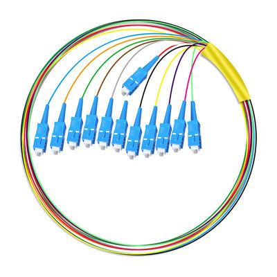 Mua HXCOWO 12 Core SC Bundle Tail Single Mode Telecom Grade Head And Tail Fiber Optic Pigtail sản xuất trực tuyến